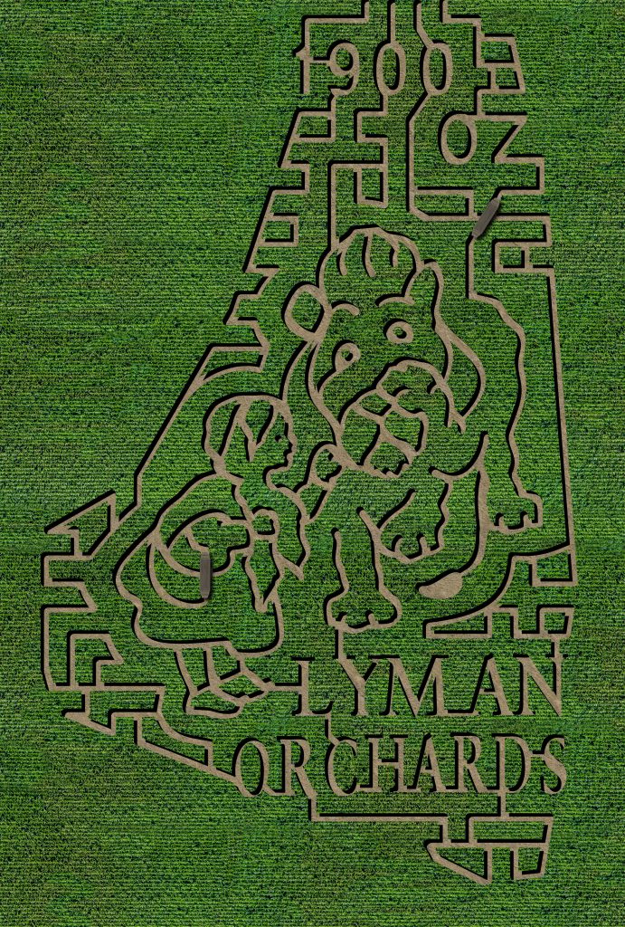 2023-corn-maze-design-1-691x1024